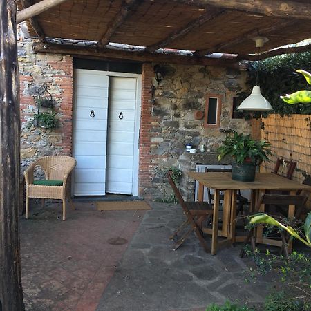 Casa Bouganville Massa Macinaia ภายนอก รูปภาพ